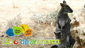 Lloc de Menorca - Zoo